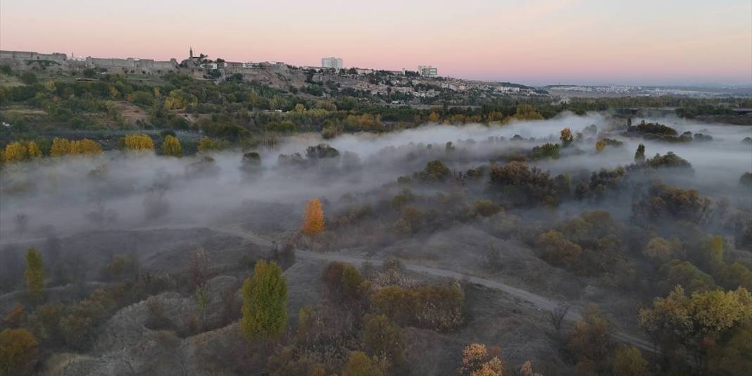 Araç lastiklerinden sal yaptı, kendini sulara saldı! ‘Kelek’ ile geçen 55 yıl: Dicle Nehri'nde tek tek avlıyor 3